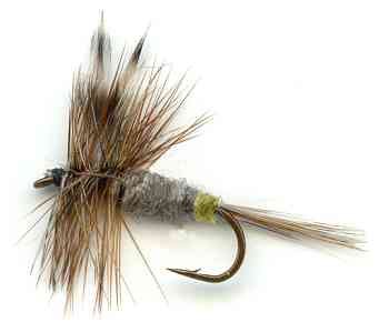 Female Adam's Dry Fly Trout flyfishing pattern