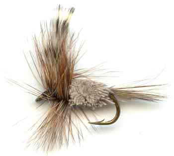 The Adam's Irresistible dry fly for trout fishing