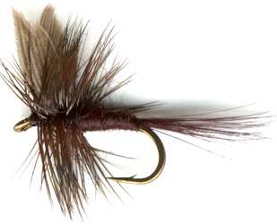 The Black Gnat Dry Fly for rainbow and brown trout fishing
