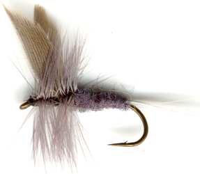 The Blue Dun Dry Fly pattern for Brown and Rainbow trout fishing