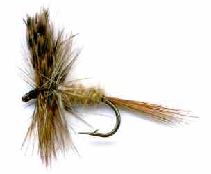 The March Brown Flyfishing Dry Fly pattern for trout fishing