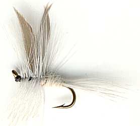 White Miller Dry Fly pattern for Brown and Rainbow trout fishing