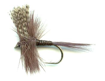 The Quill Gordon Dry Fly pattern