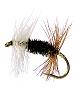 Renegade Dry Fly pattern for Rainbow and Brown trout fishing