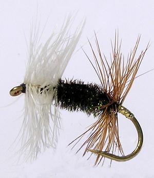 Renegade Dry Fly pattern for Rainbow and Brown trout fishing