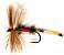 Royal Coachman Dry Fly pattern for trout fishing