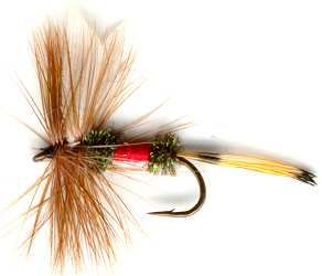 Royal Coachman Dry Fly pattern for trout fishing