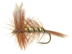 Wickham's Fancy Dry Fly for trout fishing