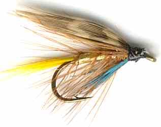 Gold Invicta Caddis Wet Fly Trout fishing pattern