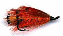 General Practitioner Salmon Double Hook fly pattern