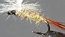 Gold Ribbed Hare's Ear Parachute Dry fly pattern