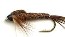 Hackled Pheasant Tail Nymph fly pattern