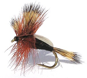 Black Humpy dry fly for rough water Brown trout fishing