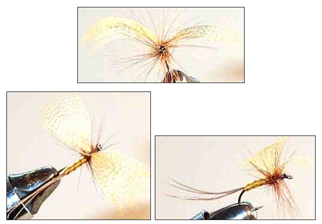 Light Cahill Mayfly Spinner dry fly for trout fishing