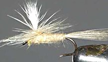 Light Cahill Parachute Dry fly pattern