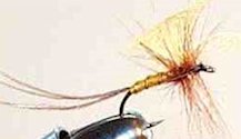 Light Cahill Mayfly Spinner fly pattern