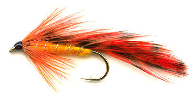 Orange Matuka streamer Fly pattern