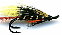 Munro Killer Salmon Double Hook fly pattern