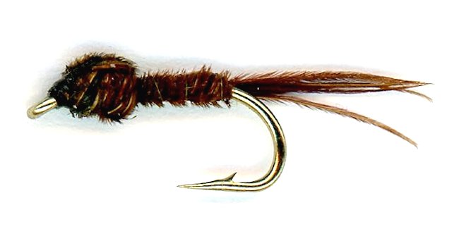 Best Fly Fishing Flies - Sawyers Pheasant Tail Nymph