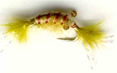 The Olive Scud Nymph Fly pattern for trout fishing