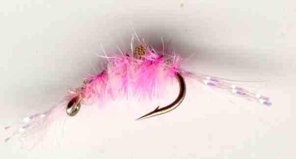 http://english-fly-fishing-flies.s3-website-eu-west-1.amazonaws.com/nymphs-pinkscud.jpg