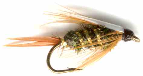 The Prince's Nymph Fly Pattern for trout fishing