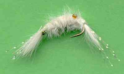 The White Scud Nymph Fly pattern for trout fishing
