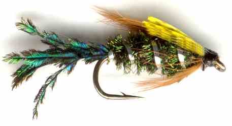 The Zug Bug Nymph Fly