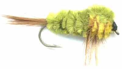 Olive and Yellow Montana Stonefly Nymph Fly pattern