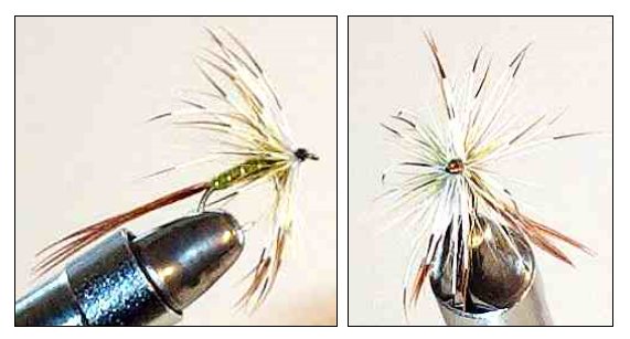 Olive French Partridge Mayfly Spinner