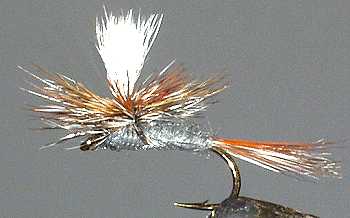 The Adams Parachute Dry Fly for trout fishing