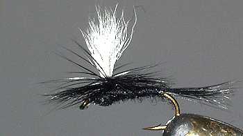 12QTY BLACK GNAT Fly Fishing Flies size18 