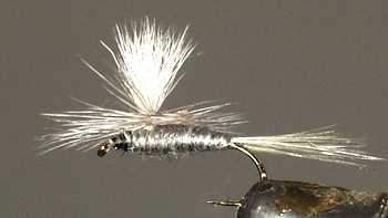 The Blue Dun Parachute Dry Fly