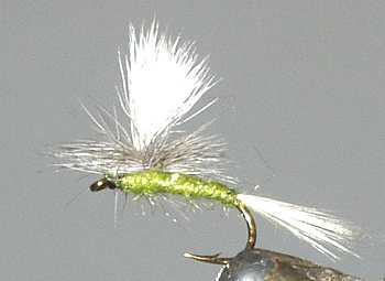 The Blue Dun Parachute Dry Fly for trout fishing