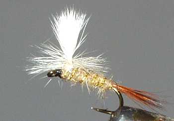 The Gold Ribbed Hare's Ear Parachute Dry Fly
