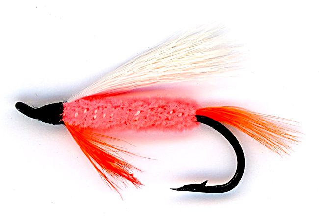 The Polar Shrimp Single Hook Fly 