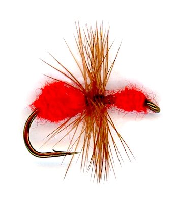 The Red Ant Dry Fly catches trout