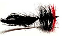 Red and Black Seaducer fly pattern