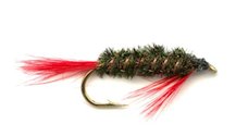 Red Diawl Bach Nymph fly pattern