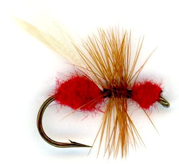 The Flying Red Ant Dry Fly for trout fishing