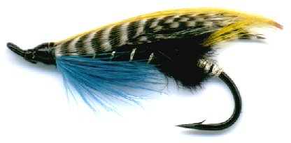 The Blue Charm feather wing Double Hook Salmon Fly 