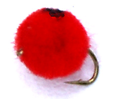 Red Salmon Egg Fishing Fly pattern
