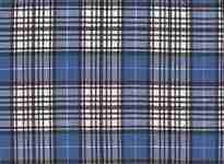 Scottish Clan Napier Tartan