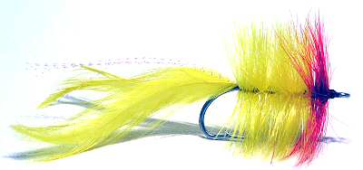 Red and yellow Tarpon Seducer Salt Water Fly Fishing Fly