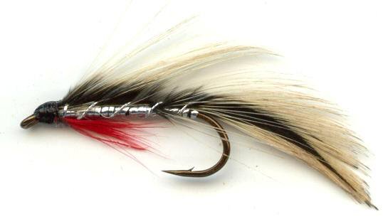 The Silver Badger Matuka Fly for trout fishing