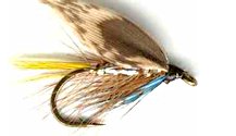 Silver Invicta Caddis Wet fly pattern