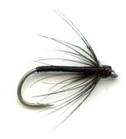 The Black Soft Hackle Wet Fly for trout fishing