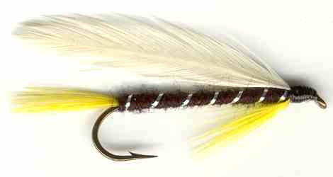 Black Ghost Streamer Fly