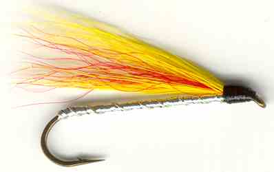 rainbow streamer, fly fishing fly, streamer, size 1, bass fly, trout fly,  flies, baitfish, smelt