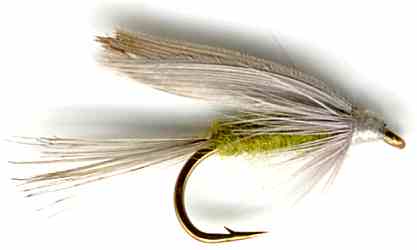 The Blue Winged Olive Wet Fly for trout fishing